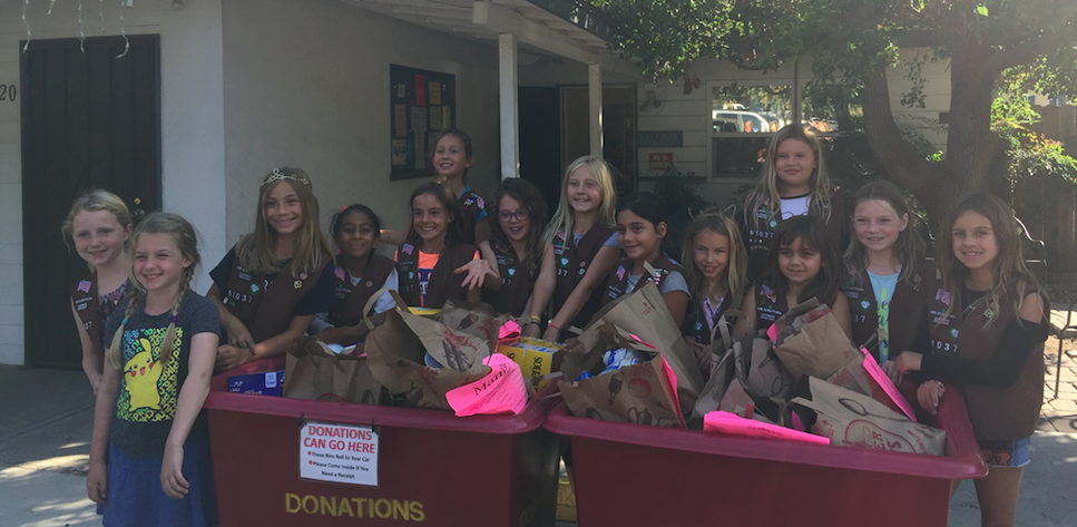 Thank you Brownie Troop 61037!