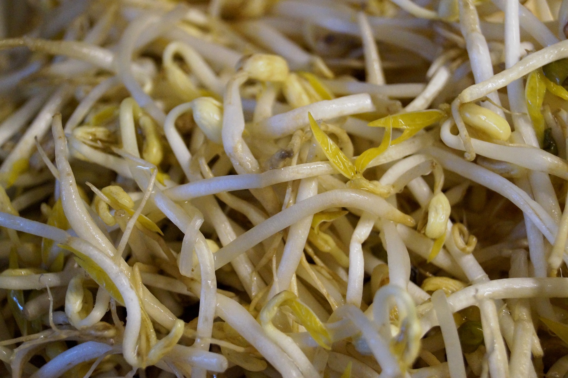 Chef&amp;#39;s Choice: Kongnamool (Korean Bean Sprouts)