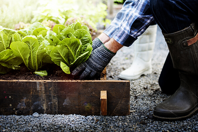 Getting Food Into The Hands Of Those Who Need It